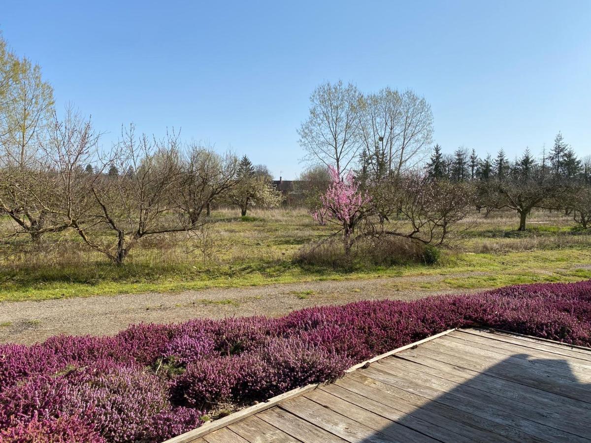 Le Gite De L'Etoile Du Jour Neung-sur-Beuvron Bagian luar foto